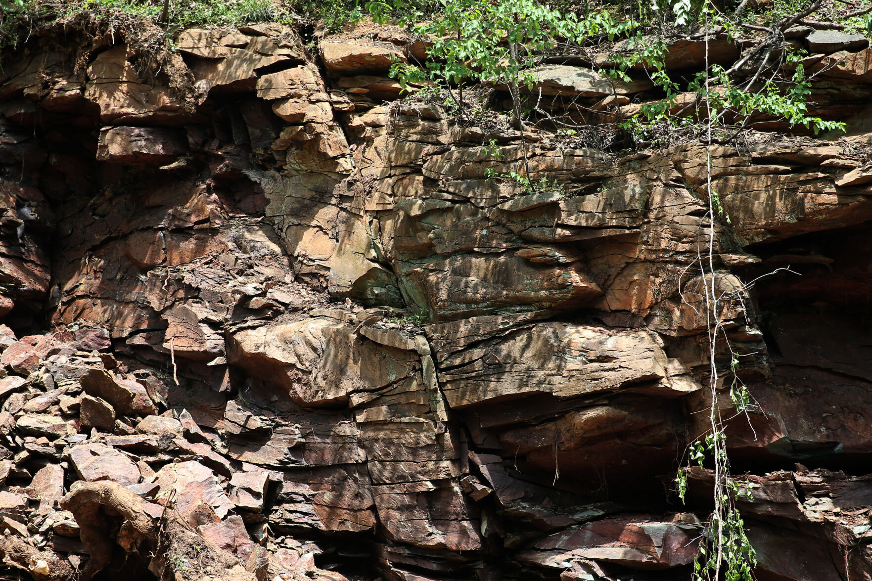 050421-cdp-news-rockslide084.JPG